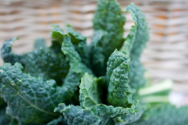 Raw Vegan DELICIOUS Citrus Avocado Kale Salad Raw Vegan DELICIOUS Citrus Avocado Kale Salad