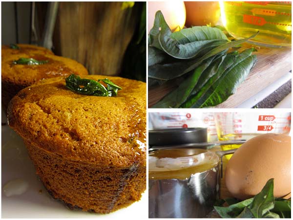 Lemon Verbena Olive Oil Muffins, Lemon Verbena Olive Oil Eggs, Honey Flour Lemon Verbena Olive Oil Muffins, Lemon Verbena Olive Oil Eggs, Honey Flour