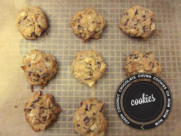 coconut-chocolate-chip-cookies---12