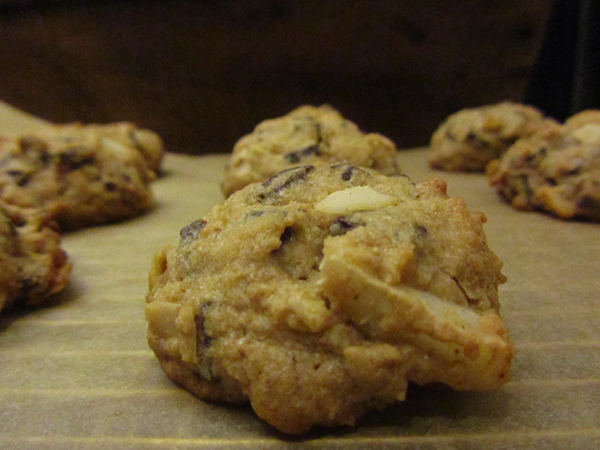 coconut-chocolate-chip-cookies---13