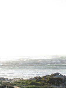 Pebble-Beach-Day-1---50