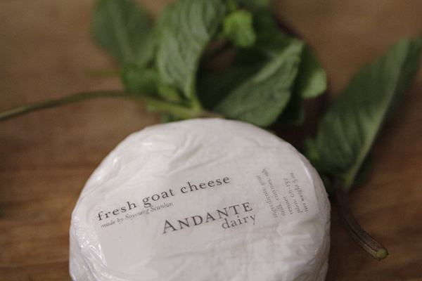 Andante Dairy Goat Cheese Andante Dairy Goat Cheese
